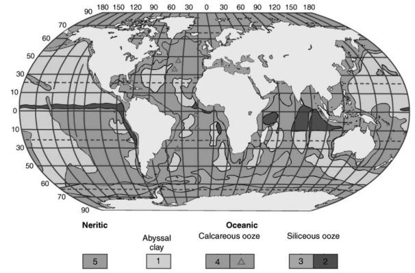 <strong>Refer to the figure below illustrating the world-wide distribution of marine sediments. Different areas of ocean sediments are indicated by different numbers. Use these numbers to answer the question(s) below. Sediments that are derived primarily from the weathering on continental material are indicated by the number(s):</strong> A) 1. B) 2. C) 2 & 3. D) 3 &4. E) 1 & 5.
