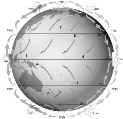 <strong>Refer to the figure below and use the numbers that correspond to global wind belts and latitudes to answer the following question(s). The area of the globe (latitude) that is characterized by falling air masses and little precipitation is:</strong> A) 1. B) 2. C) 3. D) 5. E) 6.