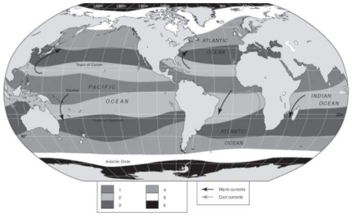 <strong>Refer to the figure below, and use the information on the map corresponding to the ocean's climatic regions to answer the following question(s). The oceanic climate region that is characterized by sea ice coverage in the winter and open water (but cold) in the summer is indicated by the number:</strong> A) 2. B) 3. C) 4. D) 5. E) 6.