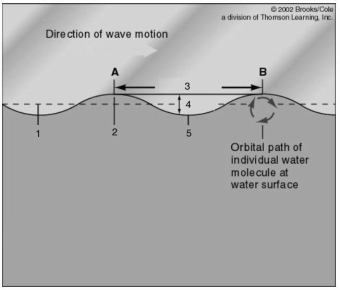 <strong>Refer to the figure below detailing wave characteristics. Use the information on the figure to answer the following question(s).   The lowest part of the wave corresponds to the number:</strong> A) 1. B) 2. C) 3. D) 4. E) 5. <div style=padding-top: 35px> 