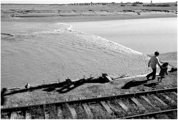 <strong>This wave formed on a river by the flood tide current is called a:  </strong> A) ebb tide. B) flood tide. C) seiche D) tidal bore. E) tsunami. <div style=padding-top: 35px> 