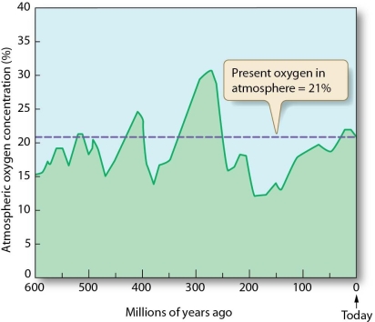 Describe how the half-live of radioactive elements can be used to determine the age of rock through radiometric dating.