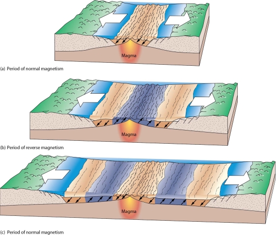 Discuss changes in the lithosphere that occur between an oceanic ridge and an oceanic trench.