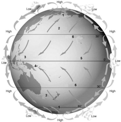 <strong>Refer to the figure below and use the numbers that correspond to global wind belts and latitudes to answer the following question.   The area of the globe (latitude)that is characterized by falling air masses and little precipitation is labeled number:</strong> A)1) B)2) C)3) D)5) E)6) <div style=padding-top: 35px> 