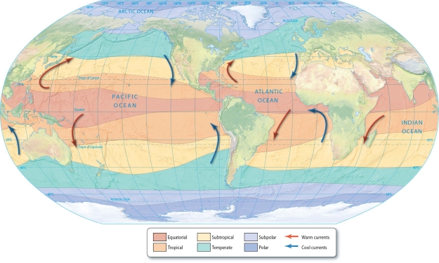 <strong>Refer to the figure below, and use the information on the map corresponding to the ocean's climatic regions to answer the following question.   When ice forms from seawater, the remaining seawater will have a:</strong> A)darker color. B)decreased density. C)higher salinity. D)higher temperature. E)lower temperature. <div style=padding-top: 35px> 