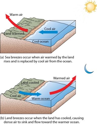   Discuss the formation of land breezes and sea breezes.<div style=padding-top: 35px> 