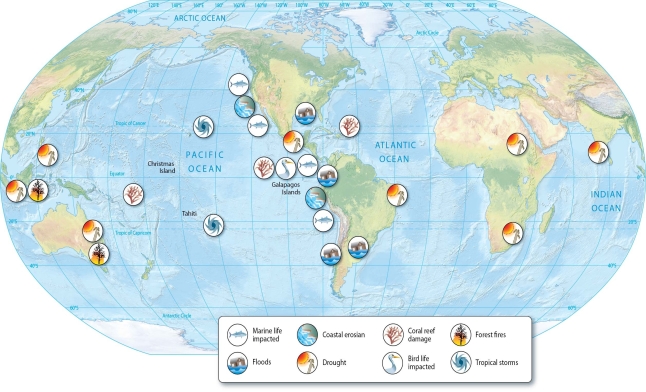 Briefly describe the effects of severe El Niño events.