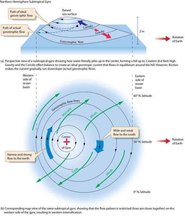 Discuss the relationship between Ekman transport and geostrophic flow within a gyre. How does this relationship contribute to western intensification?