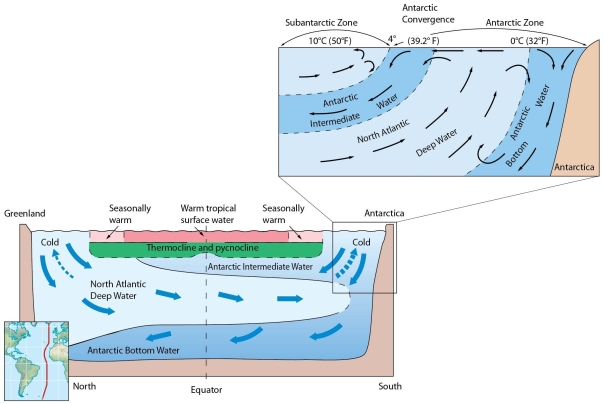 Describe the circulation of deep ocean water.