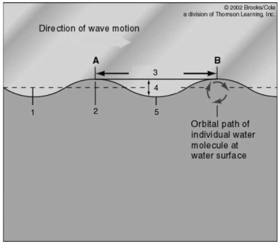 <strong>Refer to the figure below detailing wave characteristics. Use the information on the figure to answer the following question. The portion of the wave that is also known as the zero energy level is indicated by the number:</strong> A)1) B)2) C)3) D)4) E)5)