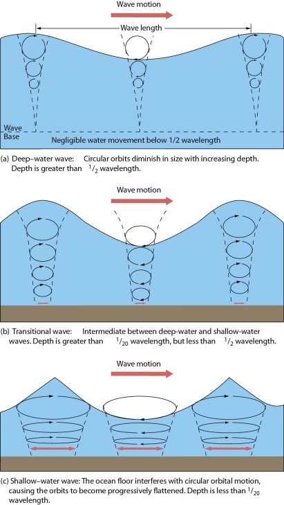 Compare shallow-water and deep-water waves.