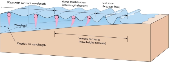 Describe what happens to a deep-water wave when it enters shallow water and eventually breaks.