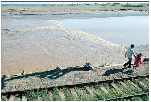 <strong> This wave formed on a river by a flood current is called a/an:</strong> A)ebb tide. B)flood tide. C)seiche D)tidal bore. E)tsunami.