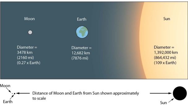 Briefly describe why the Sun's influence on Earth's tides is only 46% that of the Moon, even though the Sun is much more massive that the Moon.