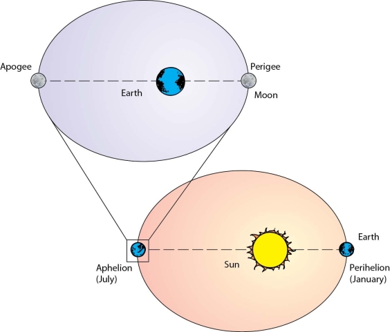 Differentiate between apogee and perigee and briefly discuss the effect on tidal height when perigee coincides with spring tide.