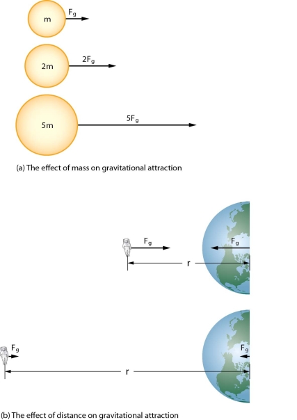 Discuss the influence of the relative masses and distance between the two objects on tide-generating forces.