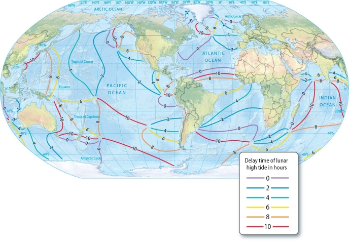 Describe the tides in an open-ocean basin.