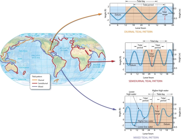Describe the number of high and low tides in a lunar day, including the period, and any inequality of diurnal, semidiurnal, and mixed tide types.