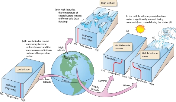How does coastal runoff of low-salinity water produce a coastal geostrophic current?