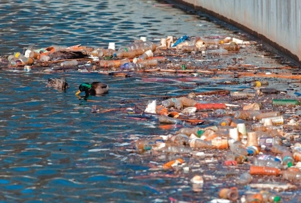 What properties have contributed to plastics being considered a miracle substance? How do those same properties cause plastics to be unusually persistent and damaging in the marine environment?