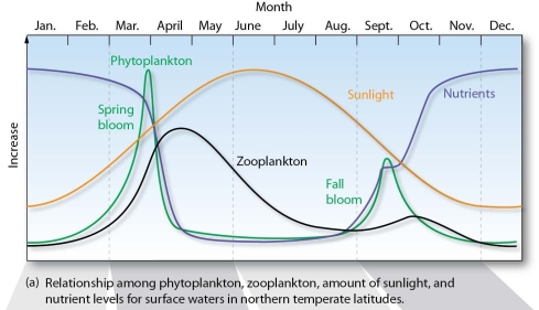   Why do algal blooms frequently occur during spring and fall in temperate oceans?<div style=padding-top: 35px> 