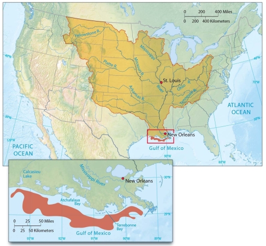   Discuss the formation of the Gulf of Mexico dead zone. Why does this area form in the warmer months of the year?<div style=padding-top: 35px> 