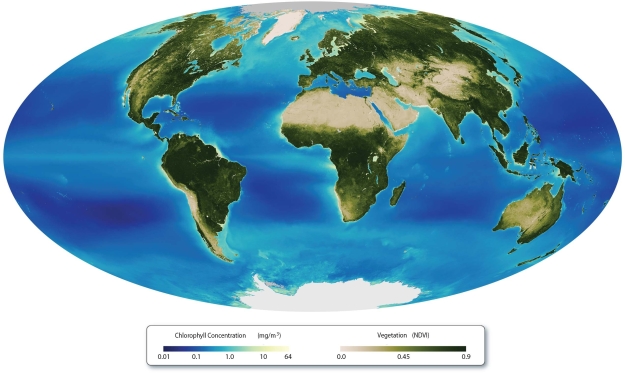   Distinguish between eutrophic and oligotrophic oceans. Where would you expect to find eutrophic areas in the ocean? Oligotrophic areas?<div style=padding-top: 35px> 