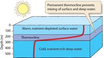   Tropical oceans are generally characterized by low net primary productivity. What are three environments that are exceptions to this and what factors contribute to their higher productivity?<div style=padding-top: 35px> 