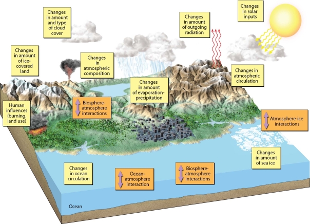 List and define the five components of Earth's climate system.