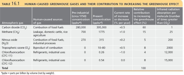 Briefly discuss the human-caused greenhouse gases in terms of their relative concentrations in the atmosphere and their relative contributions to global warming.