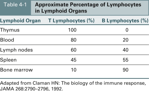 <strong>Match the lymphoid organs with the approximate percentage of T lymphocytes. Lymph nodes See Table 4-1,Approximate Percentage of Lymphocytes in Lymphoid Organs. </strong> A)80% B)60% C)20% D)10%