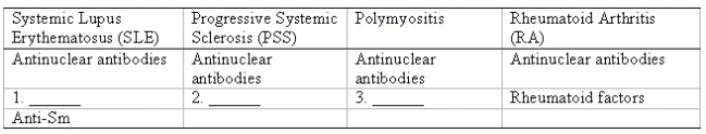 <strong>Fill in the blanks in the table. Antibodies in Systemic Rheumatic Diseases </strong> A)Anti-native DNA B)Anti-Jo-1 C)Anti-Scl-1