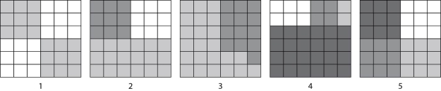 <strong>Please refer to Figure 41.2 to answer the following question. Figure 41.2 According to the Shannon Diversity Index, which block would show the greatest diversity?</strong> A) 1 B) 2 C) 3 D) 4 E) 5