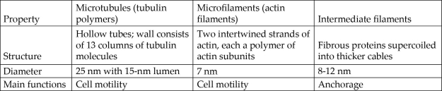 <strong>4.2 Art Question Table 4.1 A biologist ground up some plant leaf cells and then centrifuged the mixture to fractionate the organelles. Organelles in one of the heavier fractions could produce ATP in the light, whereas organelles in the lighter fraction could produce ATP in the dark. The heavier and lighter fractions are most likely to contain, respectively,</strong> A) mitochondria and chloroplasts. B) chloroplasts and peroxisomes. C) peroxisomes and chloroplasts. D) chloroplasts and mitochondria. E) mitochondria and peroxisomes.