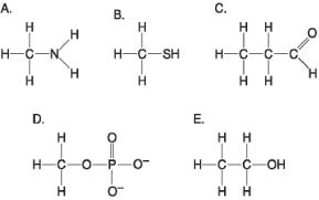 Figure 3.6 -Which molecule shown in Figure 3.6 can function as a base?