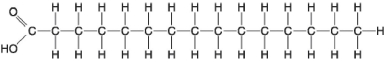 Figure 3.8 -Which of the following statements is true regarding the molecule illustrated in Figure 3.8?