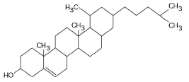   Figure 3.10 -What is the structure shown in Figure 3.10?