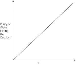 <strong> Figure 27.1 Which of the following factors, when used to label the horizontal axis of the graph in Figure 27.1, would account most directly for the shape of the plot?</strong> A) spongin concentration (gm/unit volume) B) rate of cribrostatin synthesis (molecules/unit time) C) number of pores per sponge D) number of spicules per sponge E) number of choanocytes per sponge