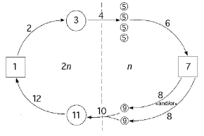 The following questions refer to the generalized life cycle for land plants shown in Figure 26.1. Each number within a circle or square represents a specific plant or plant part, and each number over an arrow represents either meiosis, mitosis, or fertilization. Figure 26.1 -Which number represents a megaspore mother cell in Figure 26.1?