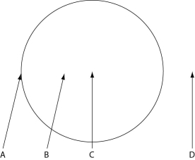 Figure 26.2 depicts the outline of a large fairy ring that has appeared overnight in an open meadow, as viewed from above. The fairy ring represents the furthest advance of this mycelium through the soil. Locations A-D are all 0.5 meters below the soil surface. Responses may be used once, more than once, or not at all. Figure 26.2 -What is the most probable location of the oldest portion of this mycelium?