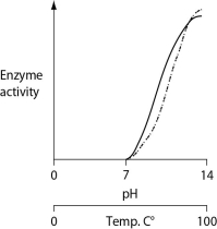 <strong>Consider the thermoacidophile Sulfolobus acidocaldarius. Which of the following graphs most accurately depicts the expected temperature and pH profiles of its enzymes? (Note: The horizontal axes of these graphs are double, with pH above and temperature below.) </strong> A) B) C) D)