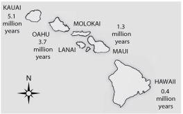 <strong> Figure 23.3 Hawaii is the most southeastern of the seven islands and is also closest to the sea-floor spreading center from which the Pacific plate originates, which lies about 5,600 km further to the southeast. Assuming equal sedimentation rates, what should be the location of the thickest sediment layer and, thus, the area with the greatest diversity of fossils above the oceanic crust?</strong> A) between the island of Hawaii and the sea-floor spreading center B) around the base of the island of Hawaii C) around the base of Kauai, the oldest of the Hawaiian islands D) where the islands are most concentrated (highest number of islands per unit surface area)