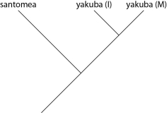 <strong>Which of these evolutionary trees represents the situation described in the previous paragraph? (Note: Yakuba (I) represents the island population, and yakuba (M) represents the mainland population.)</strong> A) B) C) D)