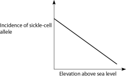 <strong>Anopheles mosquitoes, which carry the malaria parasite, cannot live above elevations of 5,900 feet. In addition, oxygen availability decreases with higher altitude. Consider a hypothetical human population that is adapted to life on the slopes of Mt. Kilimanjaro in Tanzania, a country in equatorial Africa. Mt. Kilimanjaro's base is about 2,600 feet above sea level and its peak is 19,341 feet above sea level. If the incidence of the sickle-cell allele in the population is plotted against altitude (feet above sea level), which of the following distributions is most likely, assuming little migration of people up or down the mountain?</strong> A) B) C) D)