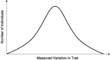 <strong>In a very large population, a quantitative trait has the distribution pattern shown in Figure 21.3. Figure 21.3 If the curve in Figure 21.3 shifts to the left or to the right, there is no gene flow, and the population size consequently increases over successive generations. Which of the following is (are) probably occurring? 1. immigration or emigration 2) directional selection 3) adaptation 4) genetic drift 5) disruptive selection</strong> A) 1 only B) 4 only C) 2 and 3 D) 4 and 5 E) 1, 2, and 3