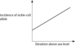 <strong>If global warming permits mosquitoes to live at higher altitudes than they currently do, then in which direction should the entire plot in the correct distribution below be shifted? a. b. c. d. </strong> A) Curve A will be shifted to the right. B) Curve B will be shifted to the right. C) Curve C will be shifted upward. D) Curve D will be shifted upward.