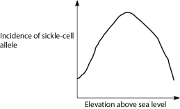 <strong>If global warming permits mosquitoes to live at higher altitudes than they currently do, then in which direction should the entire plot in the correct distribution below be shifted? a. b. c. d. </strong> A) Curve A will be shifted to the right. B) Curve B will be shifted to the right. C) Curve C will be shifted upward. D) Curve D will be shifted upward.