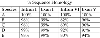 <strong>The next questions refer to Table 20.1, which compares the % sequence homology of four different parts (two introns and two exons) of a gene that is found in five different eukaryotic species. Each part is numbered to indicate its distance from the promoter (e.g., Intron I is the one closest to the promoter). The data reported for species A were obtained by comparing DNA from one member of species A to the DNA of another member of species A. Table 20.1 Which of these four gene parts should allow the construction of the most accurate phylogenetic tree, assuming that this is the only part of the gene that has acted as a reliable molecular clock?</strong> A) Intron I B) Exon I C) Intron VI D) Exon V
