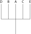 <strong>The next questions refer to Table 20.1, which compares the % sequence homology of four different parts (two introns and two exons) of a gene that is found in five different eukaryotic species. Each part is numbered to indicate its distance from the promoter (e.g., Intron I is the one closest to the promoter). The data reported for species A were obtained by comparing DNA from one member of species A to the DNA of another member of species A. Table 20.1 Based on the tabular data, and assuming that time advances vertically, which cladogram (a type of phylogenetic tree) is the most likely depiction of the evolutionary relationships among these five species?</strong> A) B) C) D)