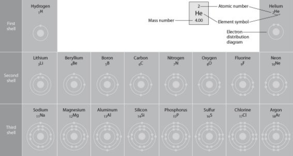 Figure 2.2 -Refer to Figure 2.2 (first three rows of the periodic table). If life arose on a planet where carbon is absent, which element might fill the role of carbon?